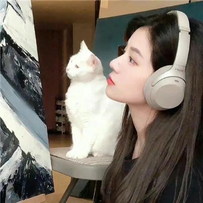 意图